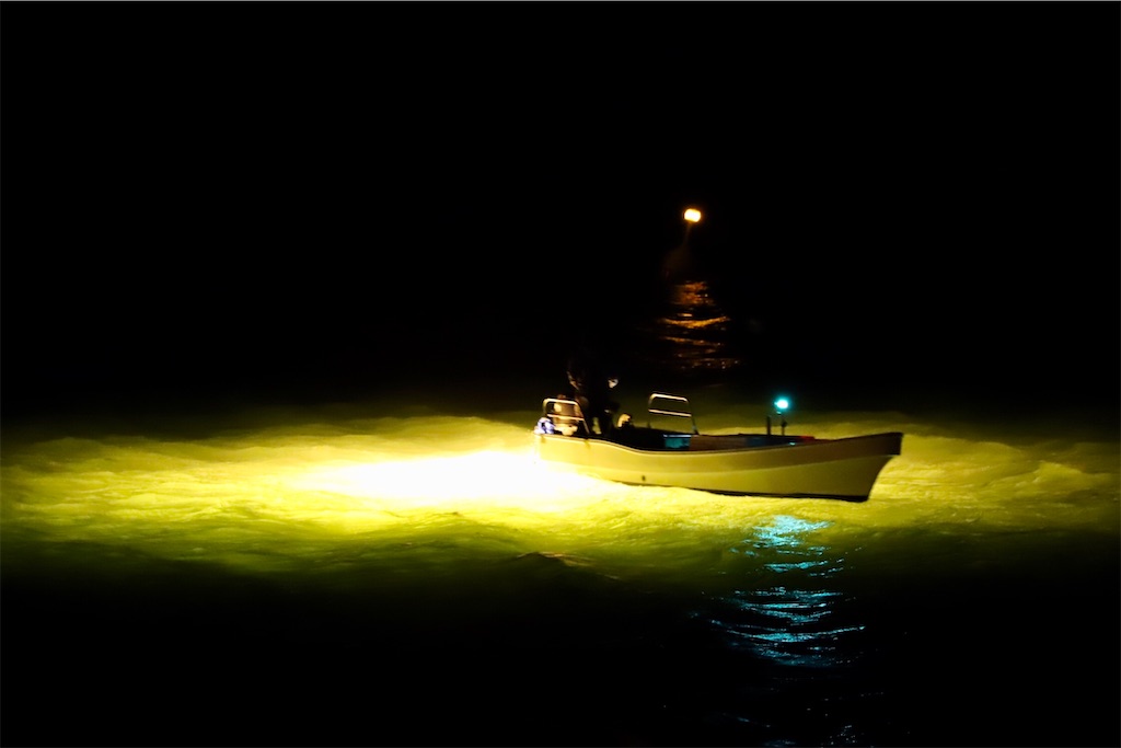 吉野川のシラスウナギ漁 徳島県徳島市 ただ何となく