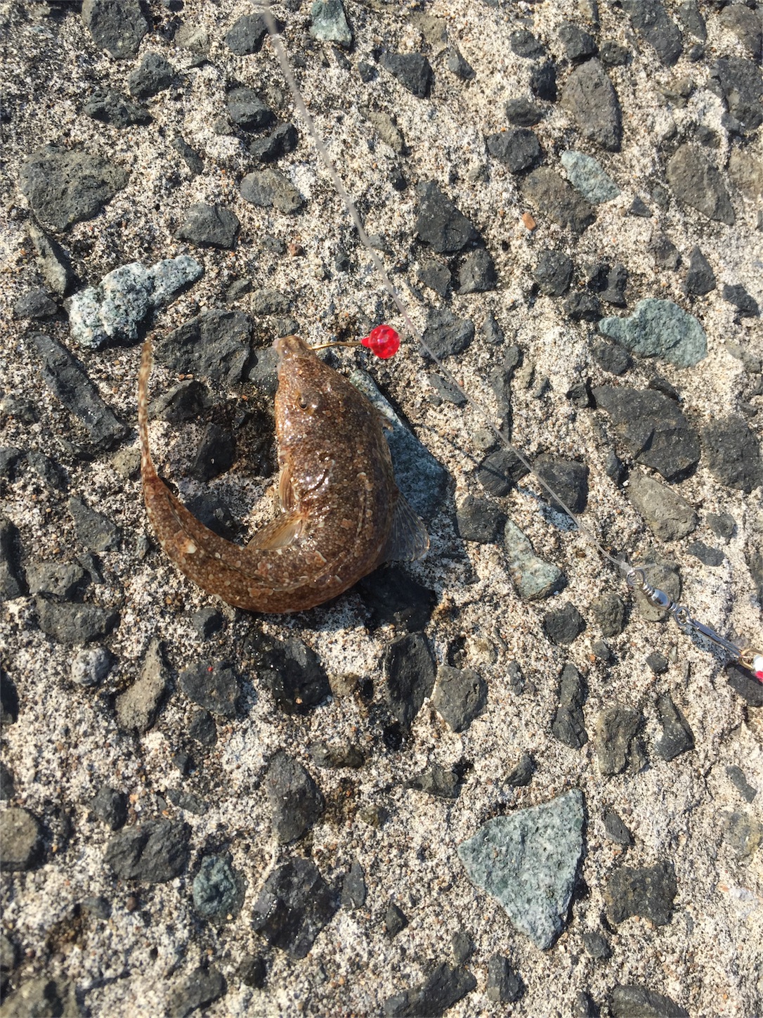 f:id:yamapan-nage:20161205155635j:image