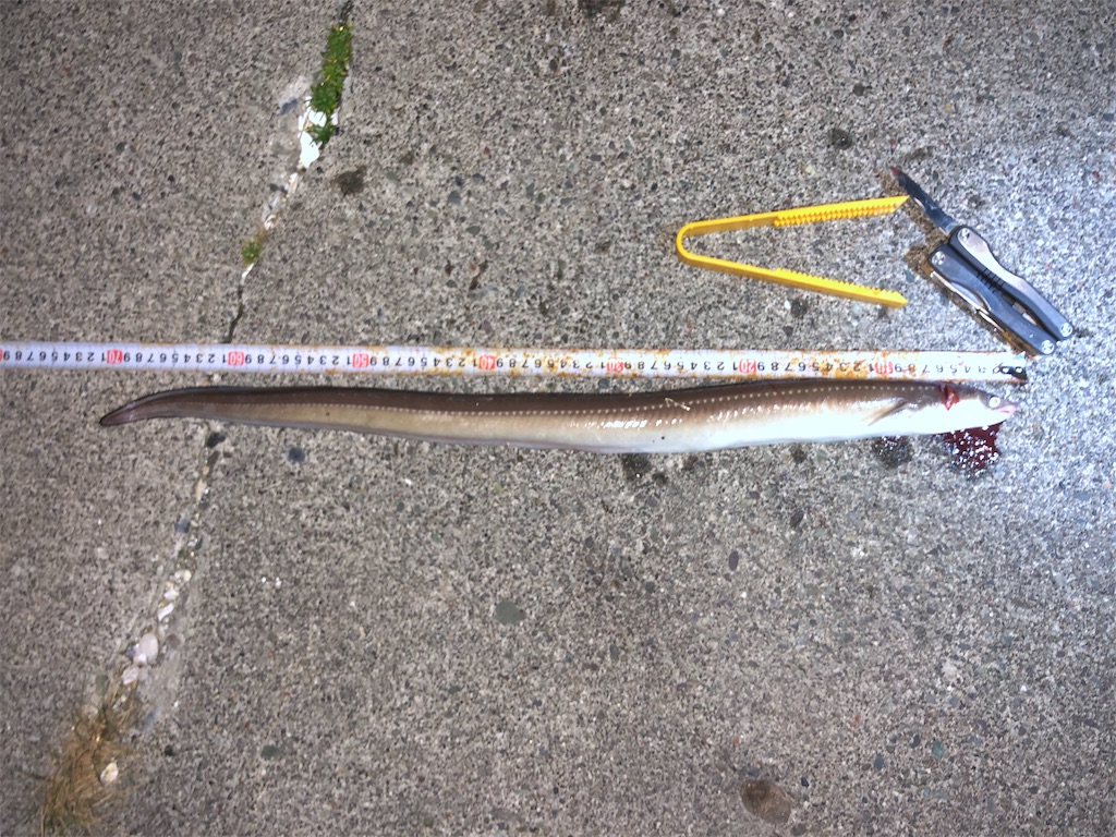 f:id:yamapan-nage:20181009190950j:image