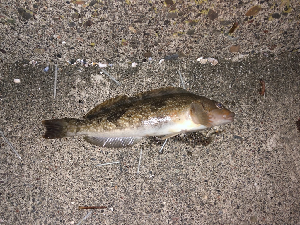 f:id:yamapan-nage:20190825233303j:image