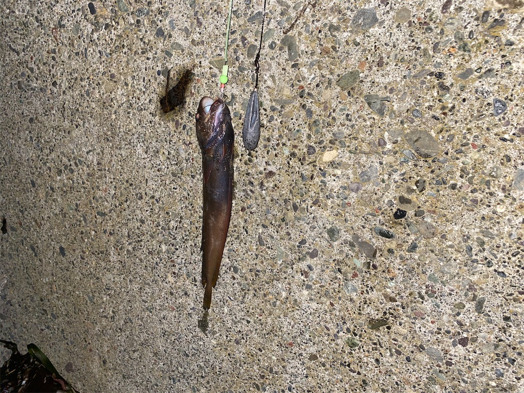 f:id:yamapan-nage:20200421233137j:image