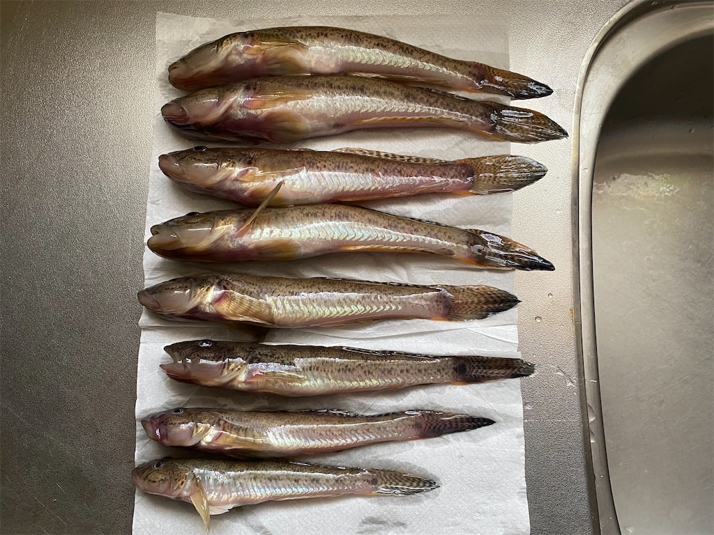 f:id:yamapan-nage:20220109145514j:image