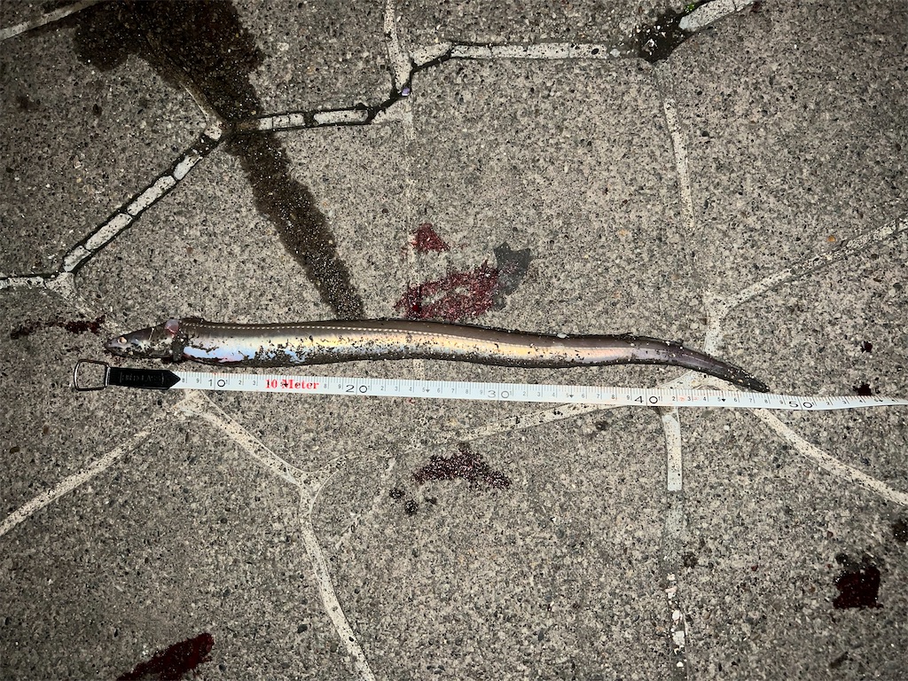 f:id:yamapan-nage:20221201092014j:image