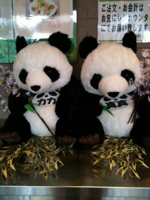 f:id:yamapan_web:20110327134505j:image f:id:yamapan_web:20110327134505j:image
