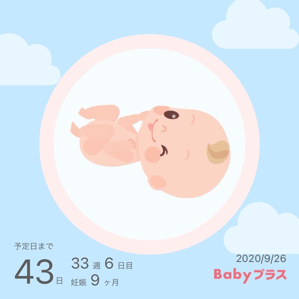 33週6日 切迫早産入院11日目 パンダフル日記