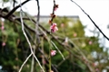 20170314205947
