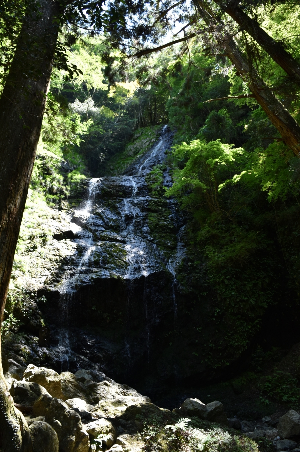 f:id:yamapiclog:20170529214112j:plain