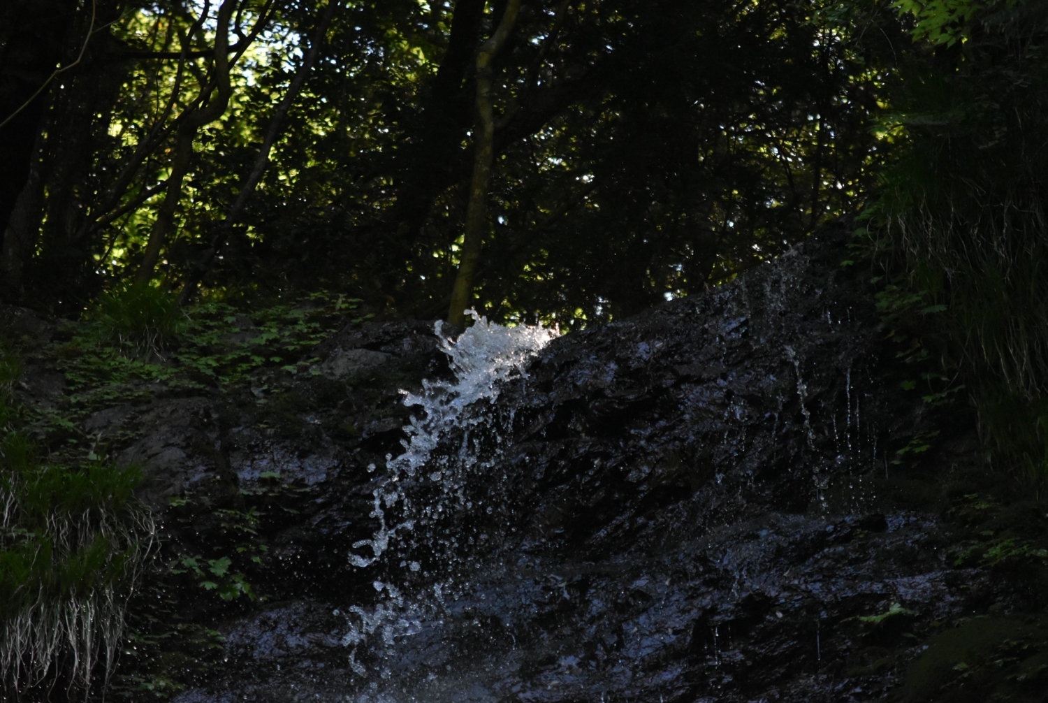 f:id:yamapiclog:20170529214116j:plain f:id:yamapiclog:20170529214116j:plain