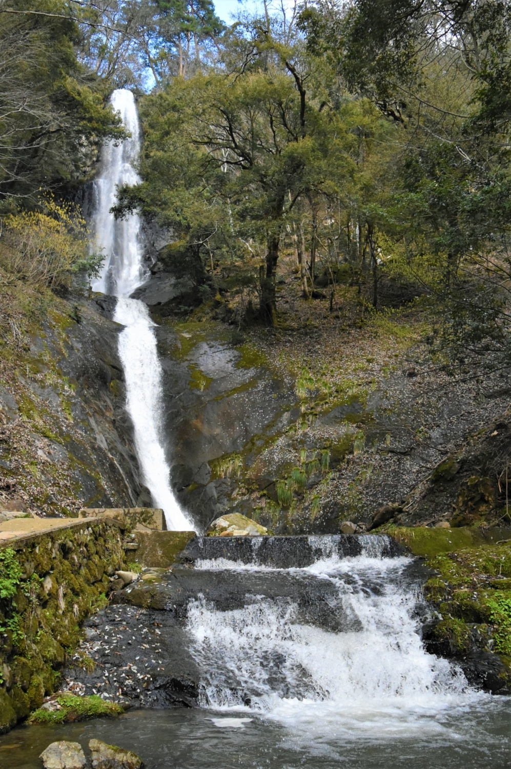 f:id:yamapiclog:20170812224539j:plain