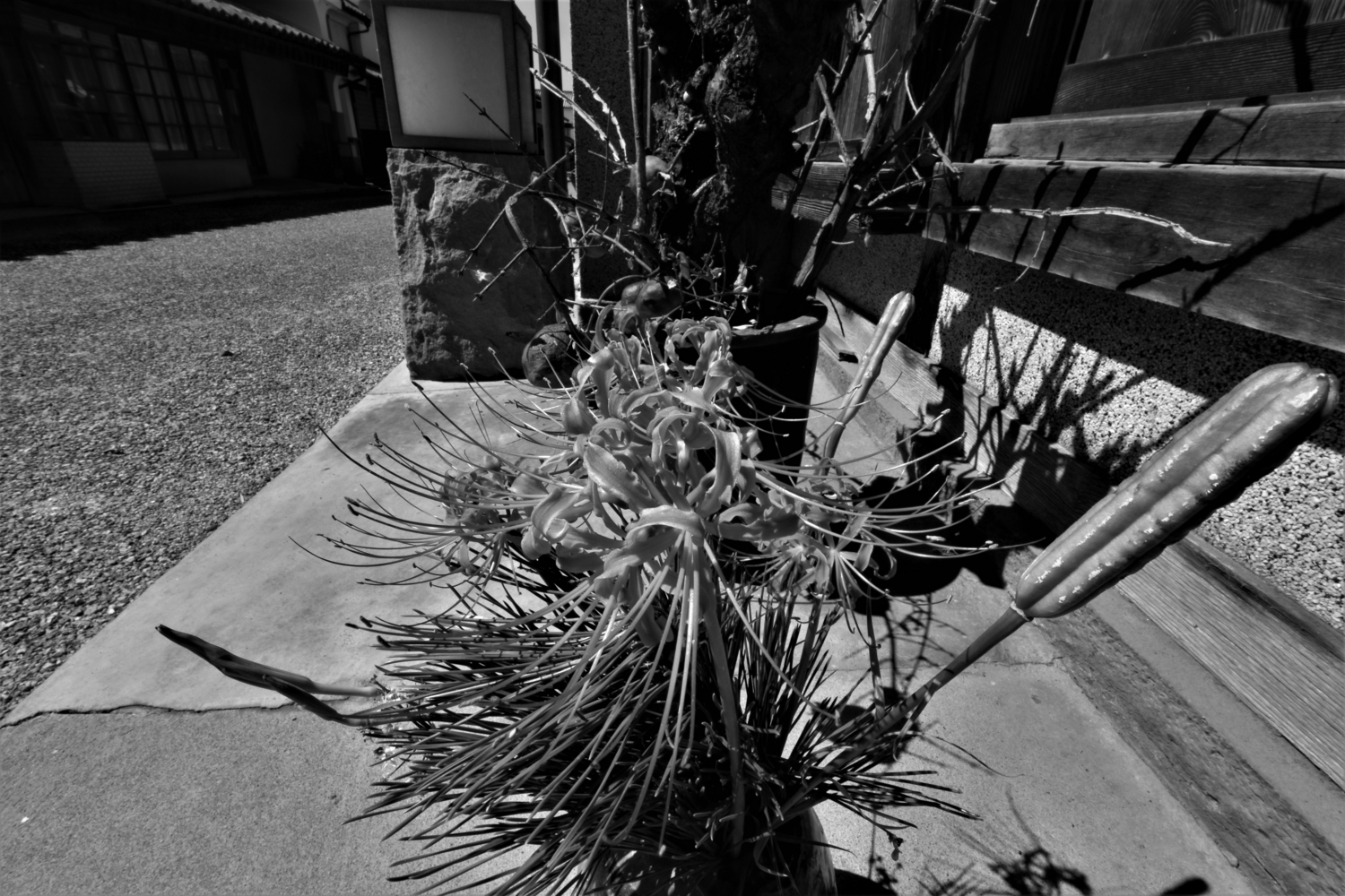 f:id:yamapiclog:20171005011422j:plain