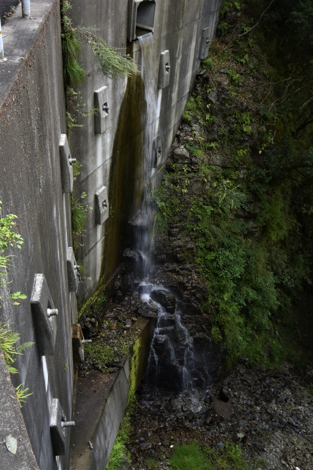 f:id:yamapiclog:20171007001106j:plain