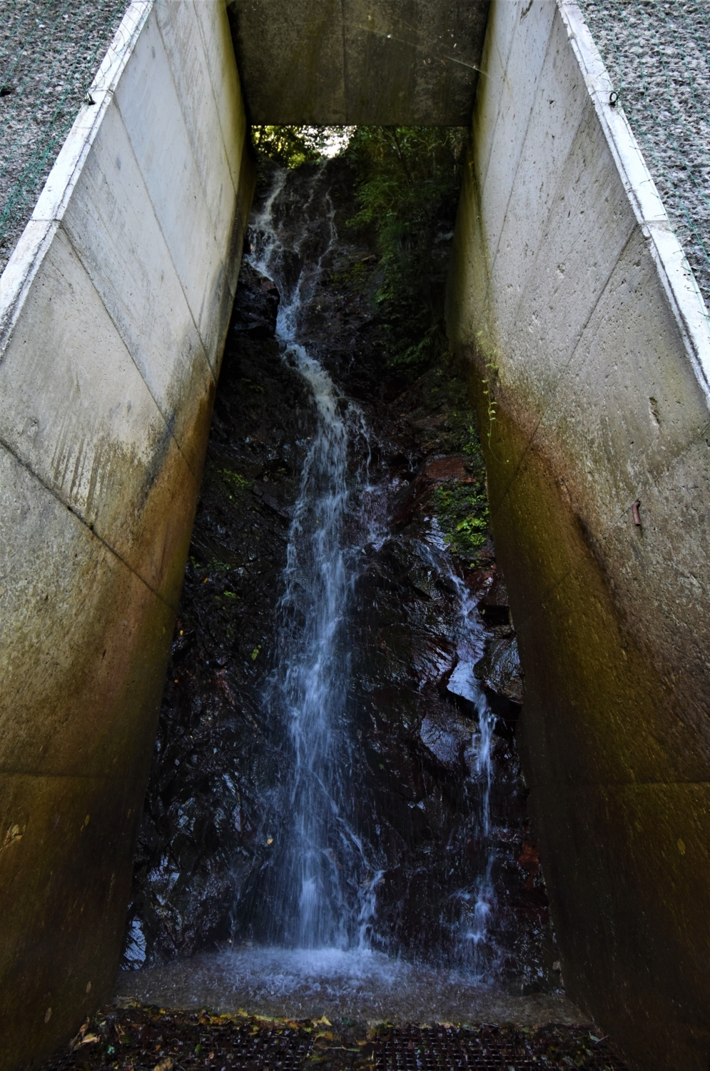 f:id:yamapiclog:20171007001121j:plain