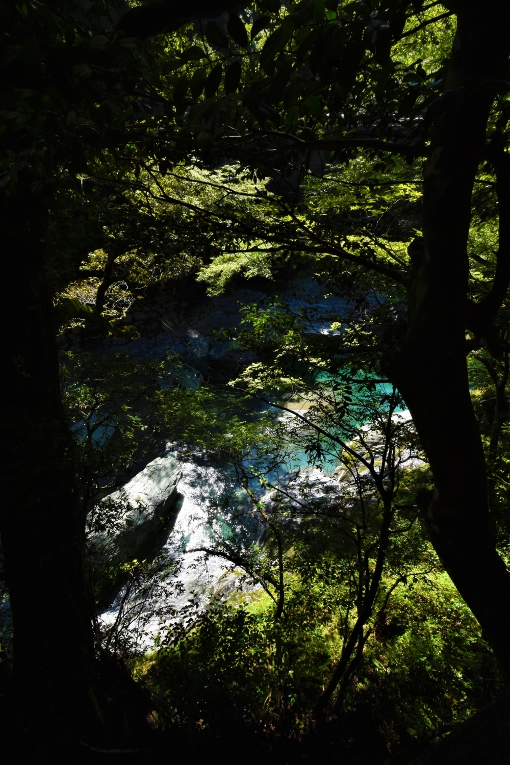 f:id:yamapiclog:20171007001155j:plain