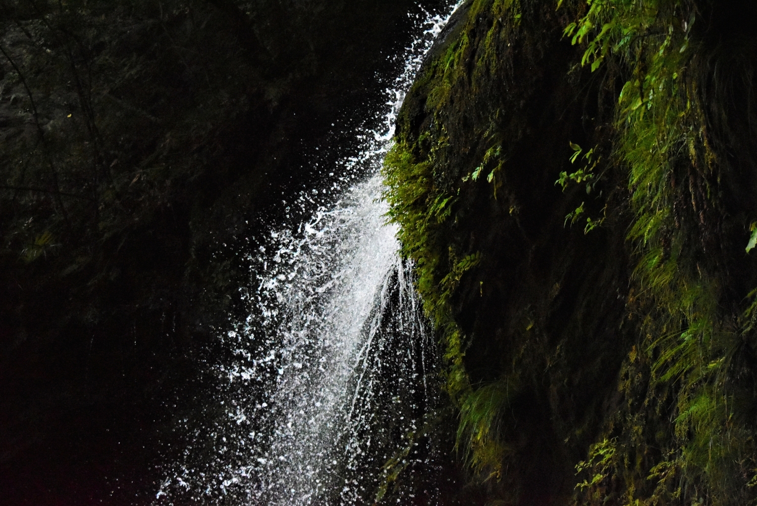 f:id:yamapiclog:20171007001350j:plain