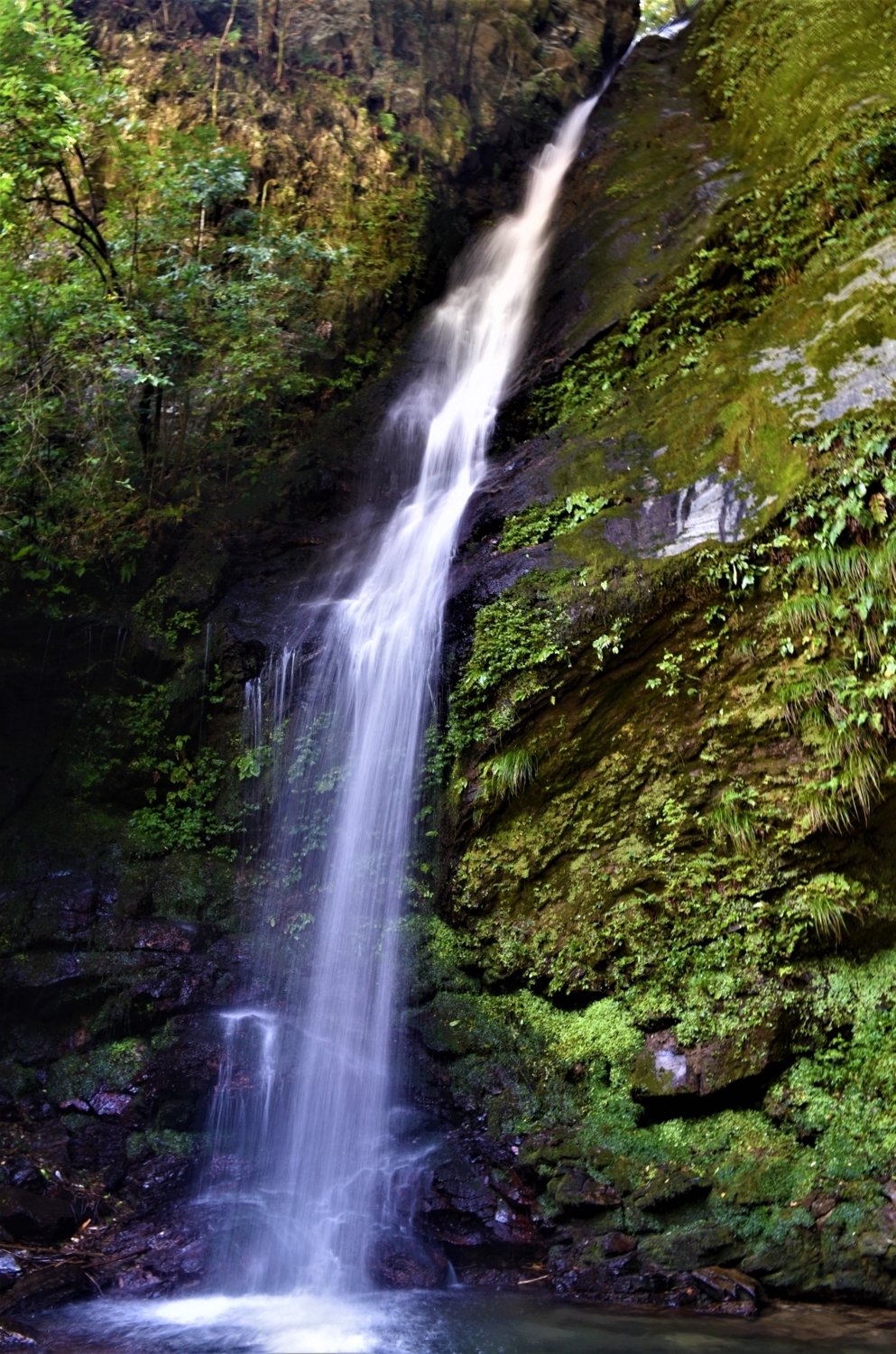 f:id:yamapiclog:20171007001414j:plain