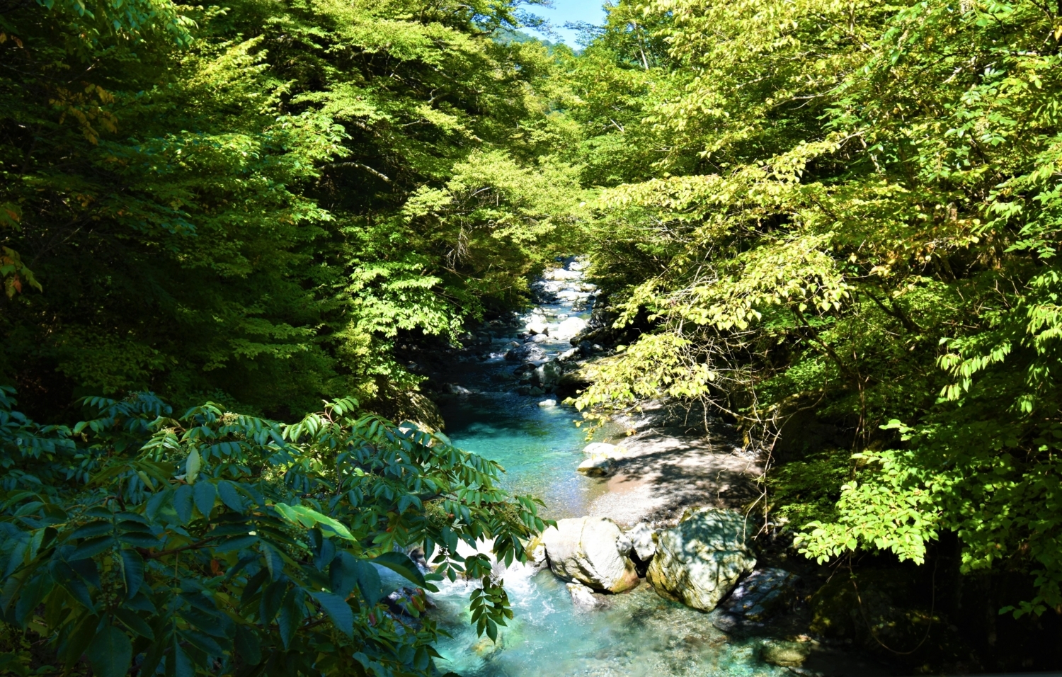 f:id:yamapiclog:20171026221638j:plain