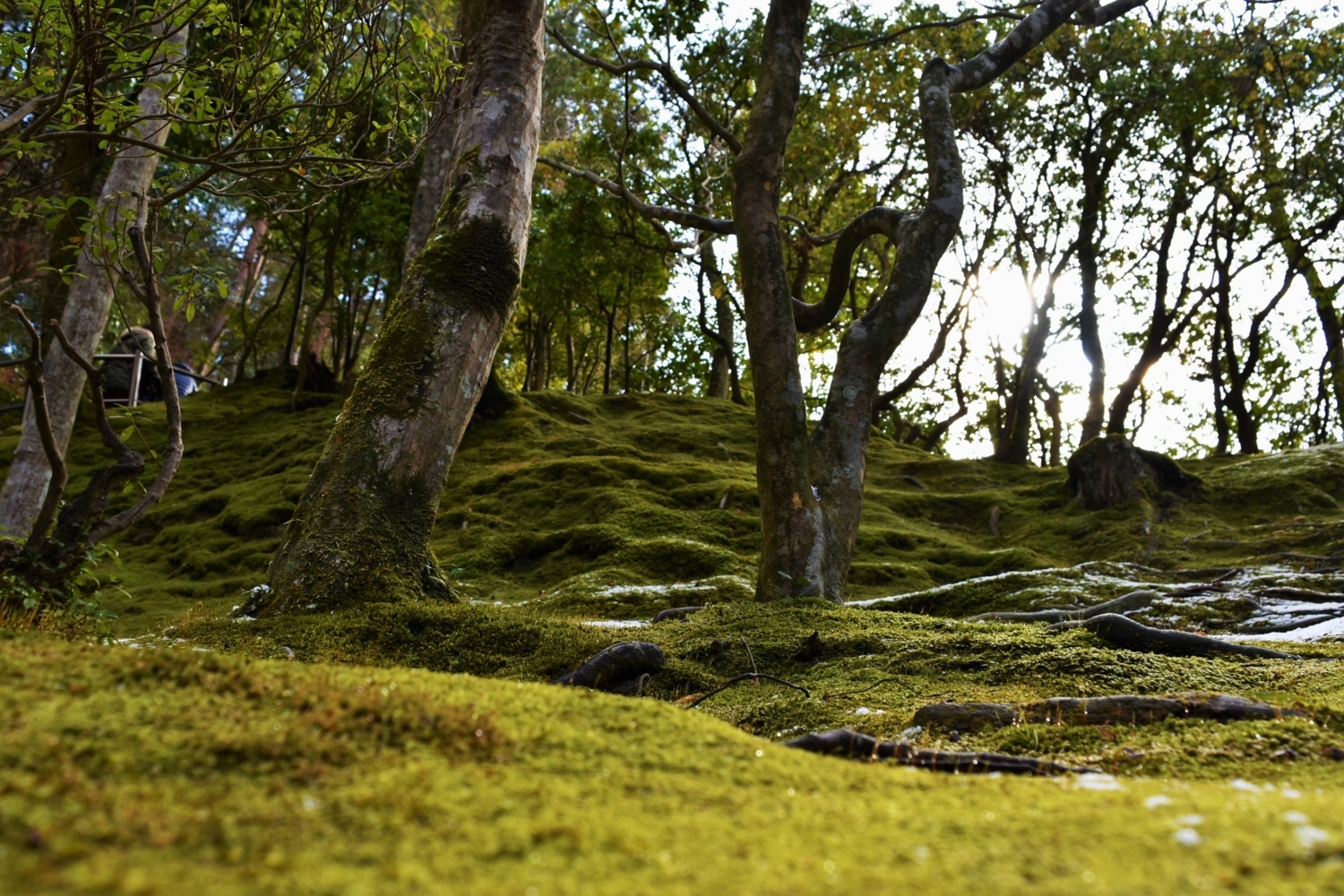 f:id:yamapiclog:20180130194653j:plain f:id:yamapiclog:20180130194653j:plain