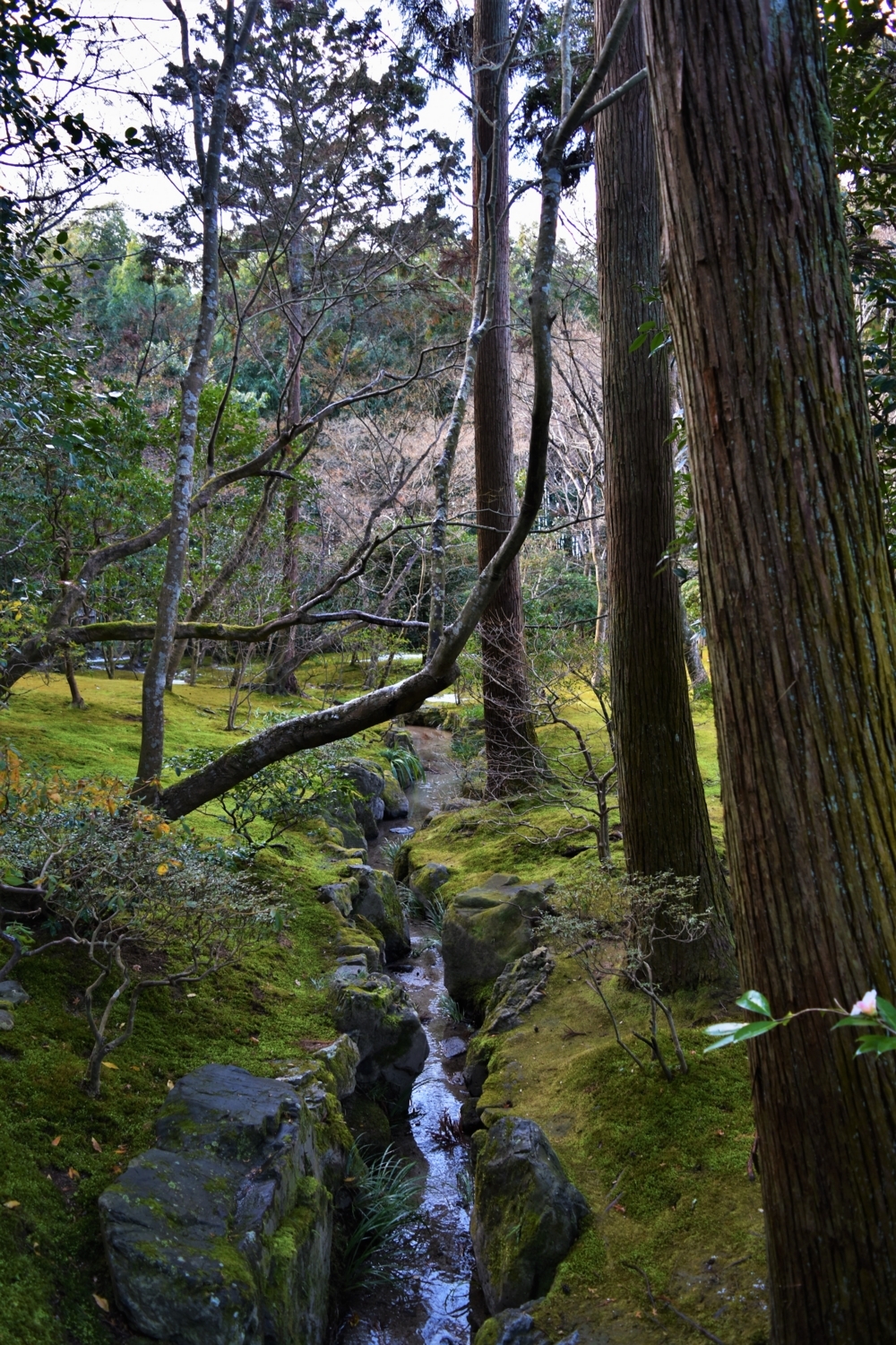 f:id:yamapiclog:20180130194724j:plain f:id:yamapiclog:20180130194724j:plain