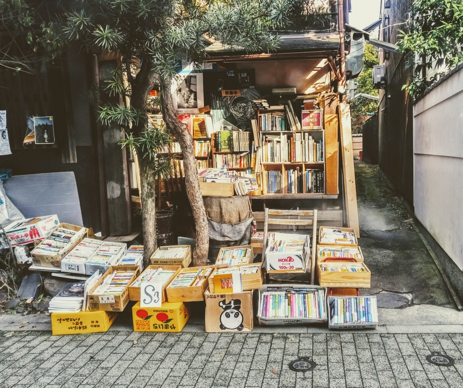 f:id:yamapiclog:20180224073854j:plain