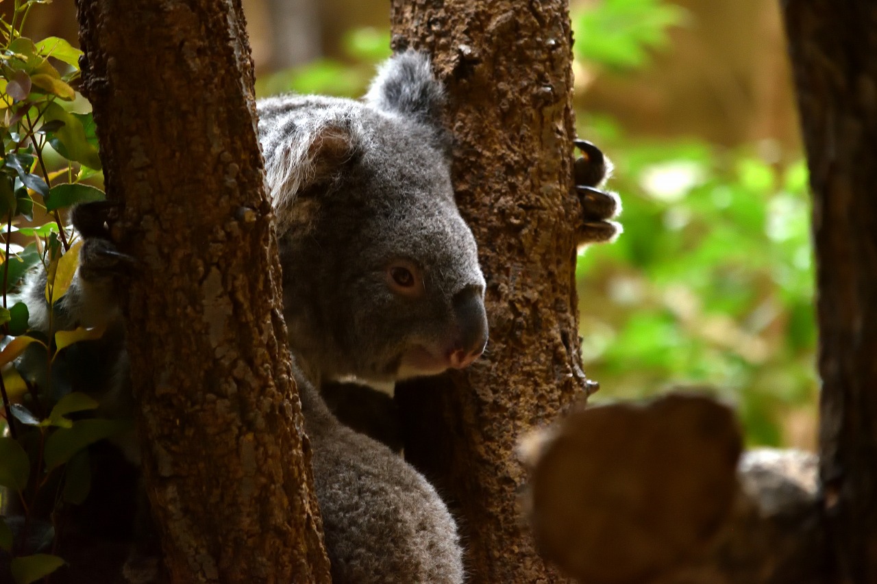 f:id:yamapiclog:20180225131240j:plain