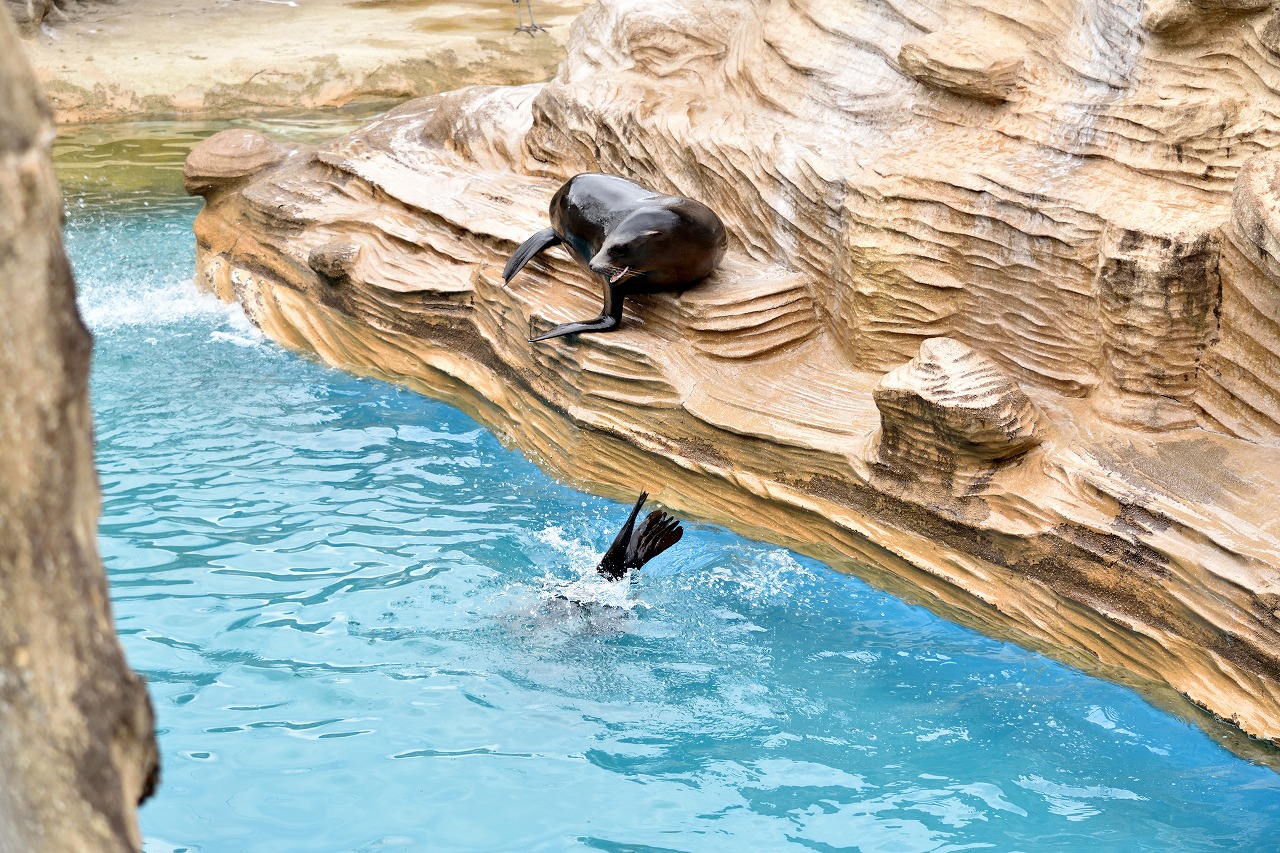 f:id:yamapiclog:20180225131448j:plain