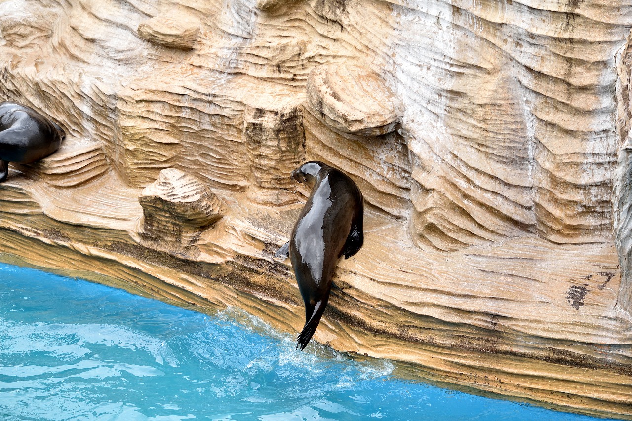 f:id:yamapiclog:20180225131520j:plain