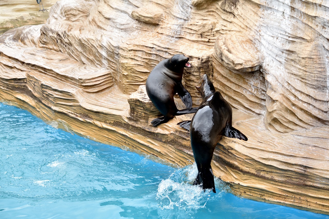 f:id:yamapiclog:20180225131614j:plain