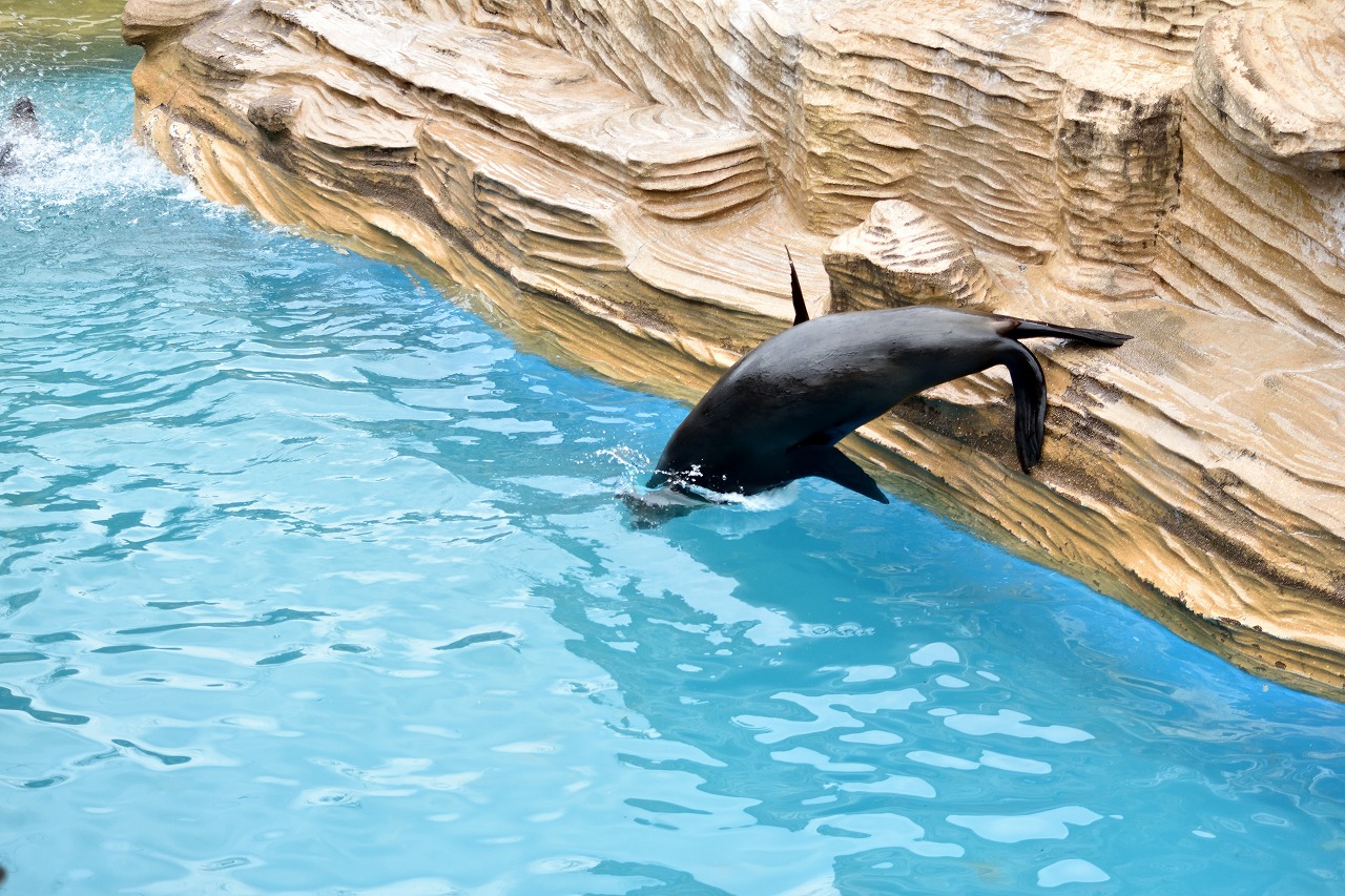 f:id:yamapiclog:20180225131718j:plain