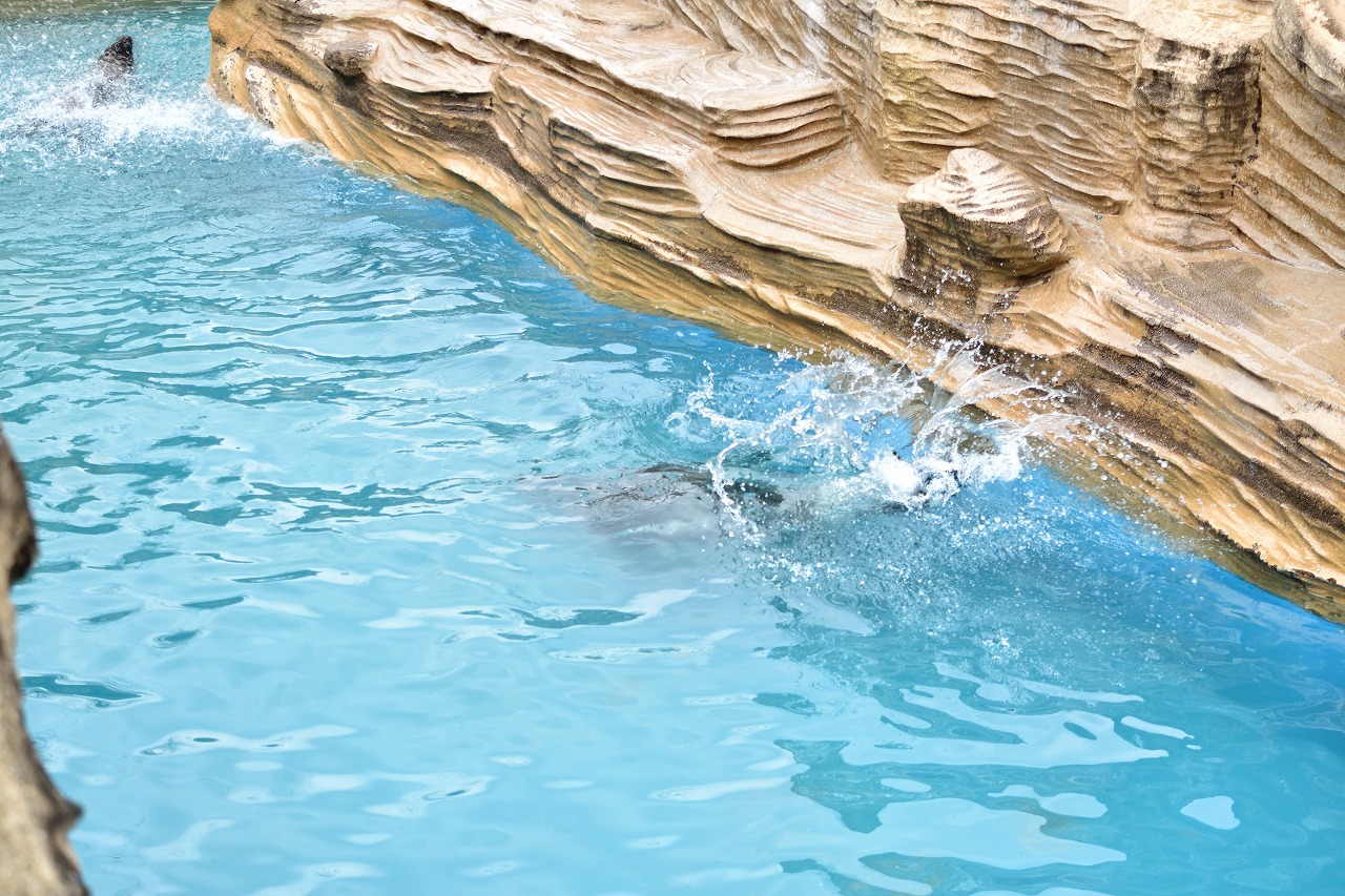 f:id:yamapiclog:20180225131724j:plain