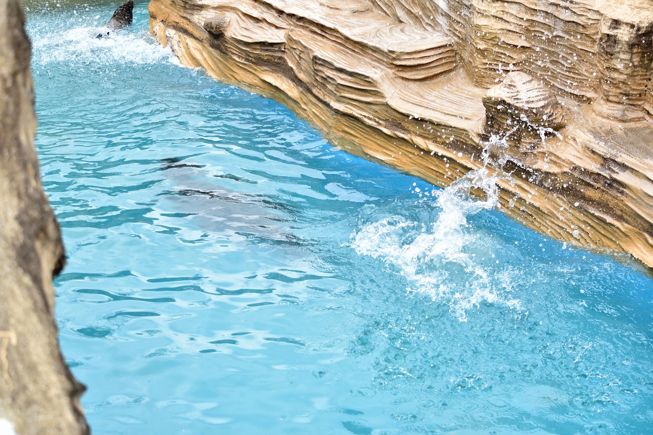 f:id:yamapiclog:20180225131731j:plain