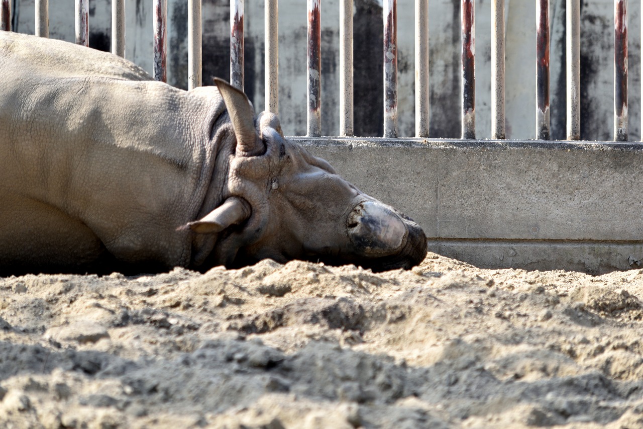 f:id:yamapiclog:20180225131920j:plain