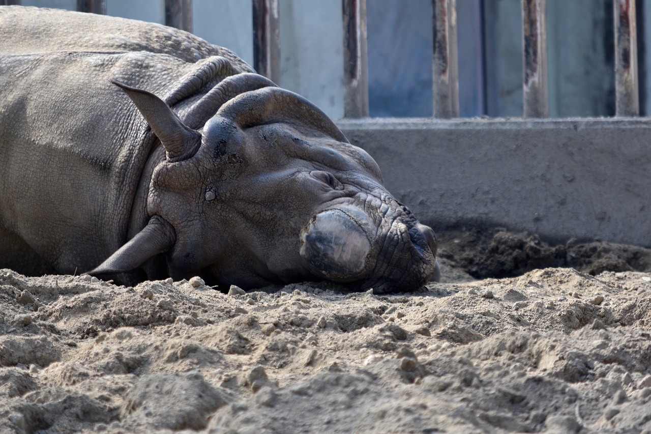 f:id:yamapiclog:20180225131926j:plain