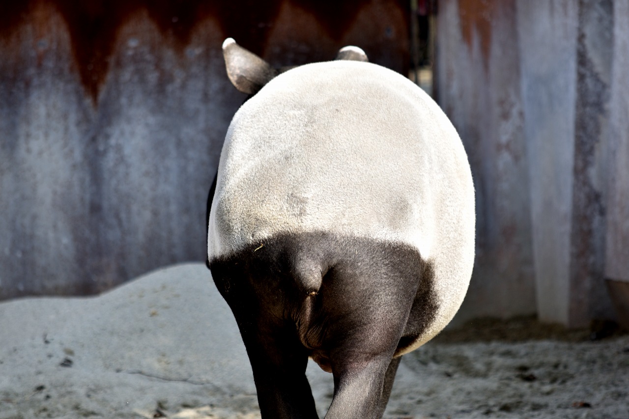 f:id:yamapiclog:20180225131940j:plain