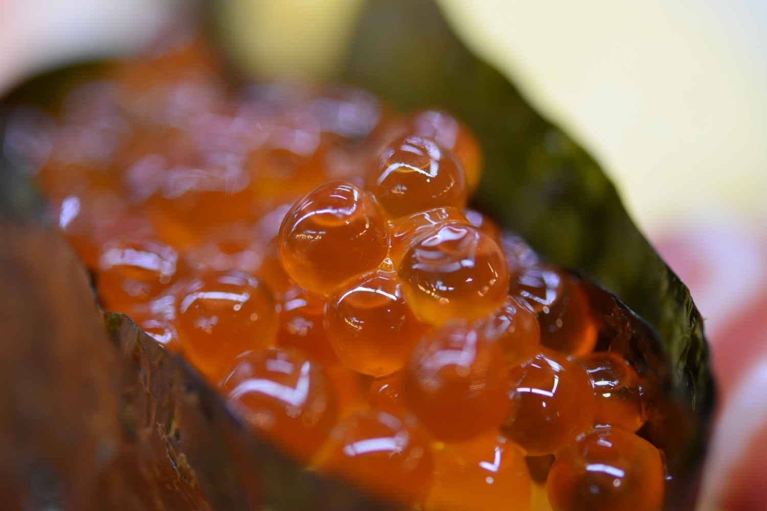 f:id:yamapiclog:20180408195036j:plain