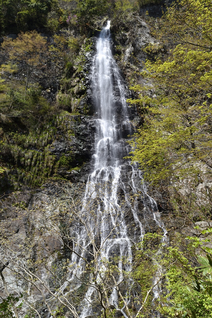 f:id:yamapiclog:20180421124846j:plain