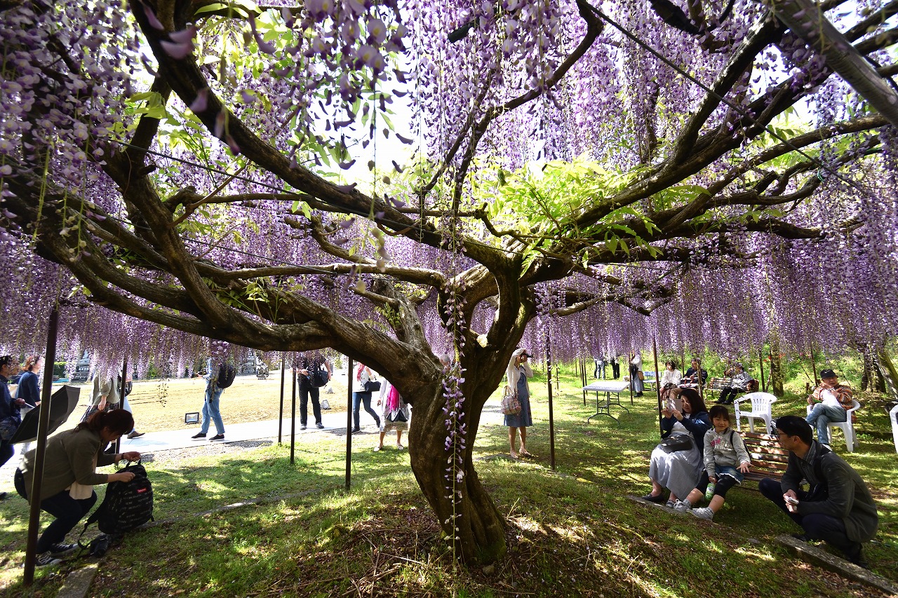 f:id:yamapiclog:20180428170257j:plain f:id:yamapiclog:20180428170257j:plain