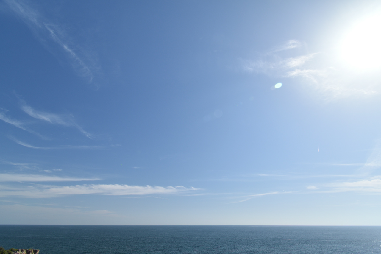 f:id:yamapiclog:20180516140015j:plain f:id:yamapiclog:20180516140015j:plain