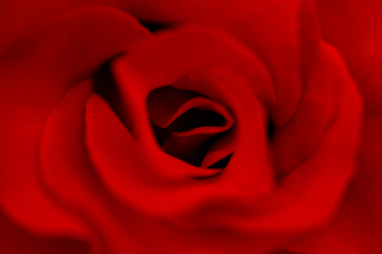 f:id:yamapiclog:20180531003855j:plain f:id:yamapiclog:20180531003855j:plain