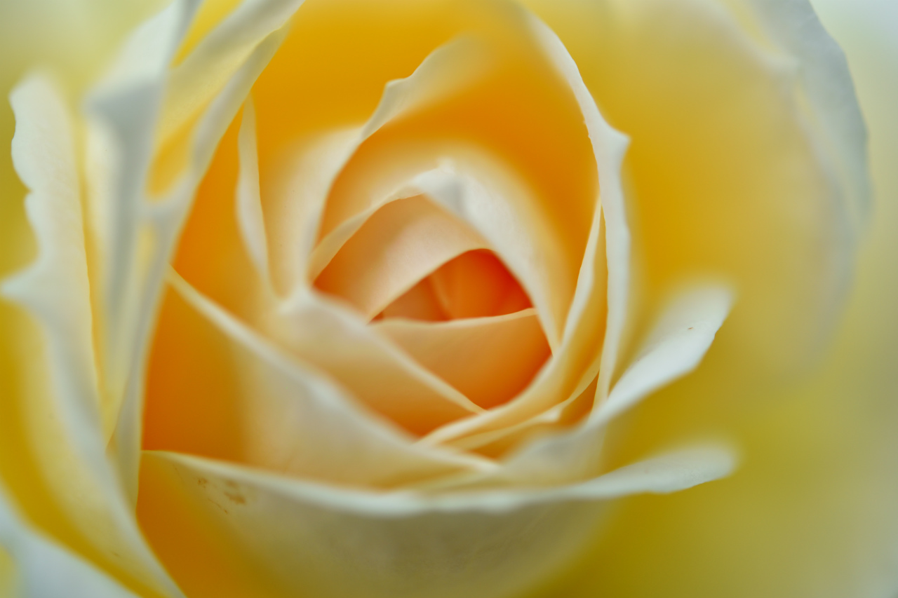 f:id:yamapiclog:20180531003902j:plain f:id:yamapiclog:20180531003902j:plain