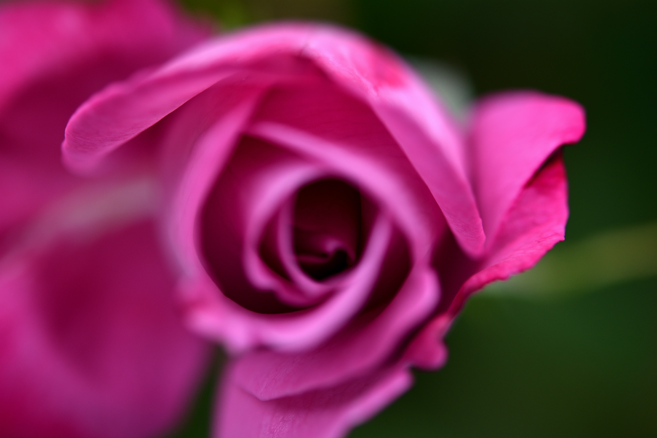 f:id:yamapiclog:20180531003923j:plain f:id:yamapiclog:20180531003923j:plain