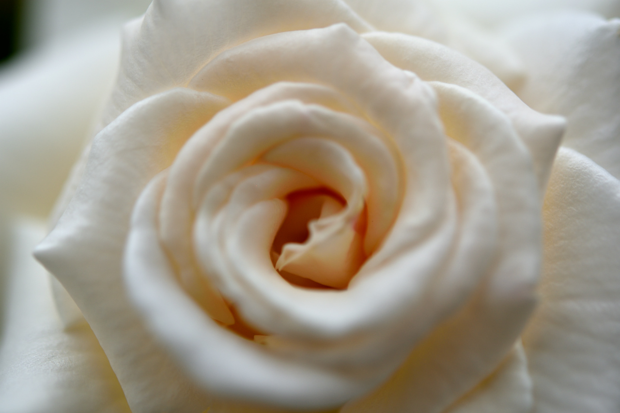 f:id:yamapiclog:20180531003937j:plain f:id:yamapiclog:20180531003937j:plain