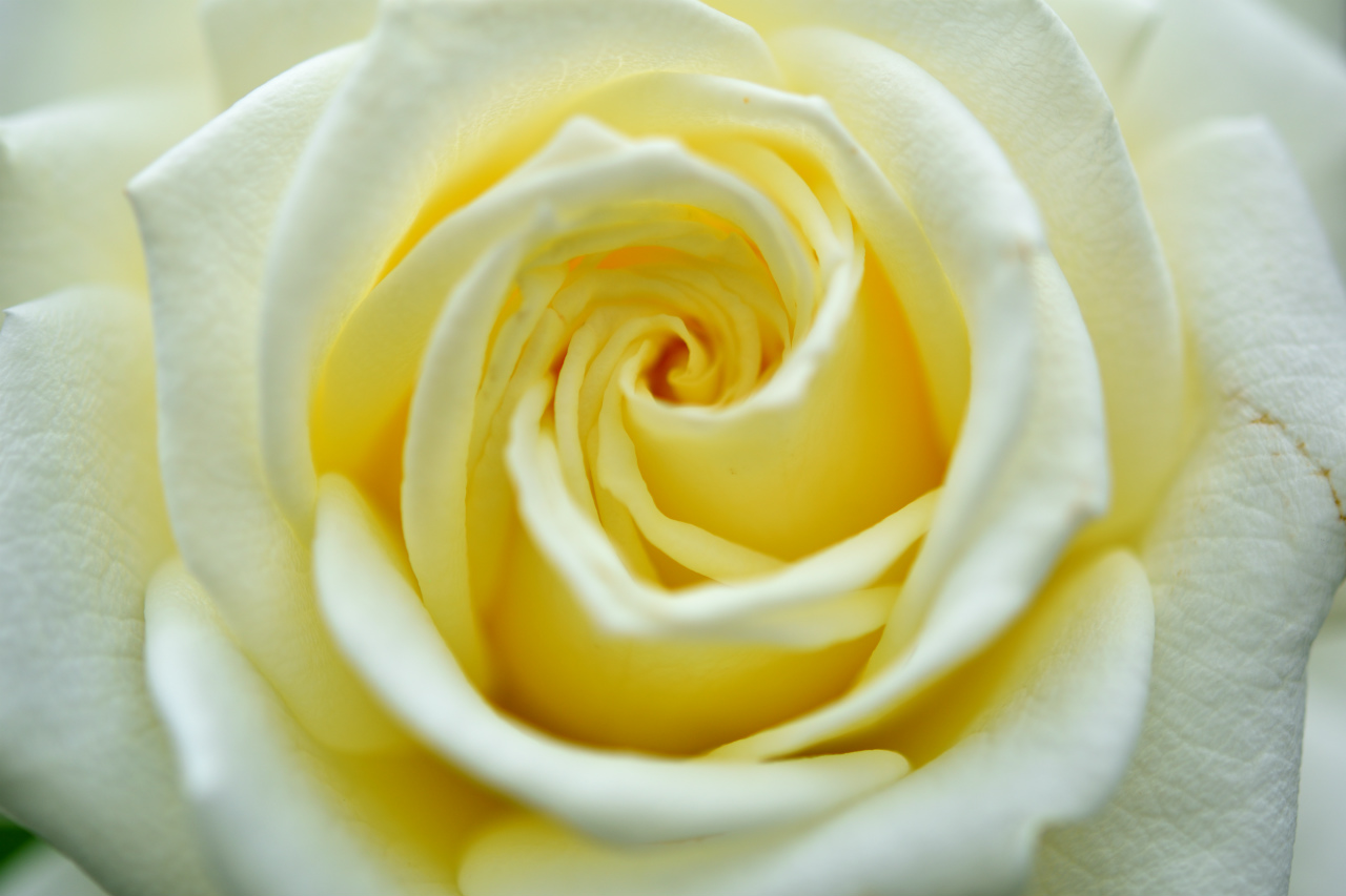 f:id:yamapiclog:20180531003941j:plain f:id:yamapiclog:20180531003941j:plain