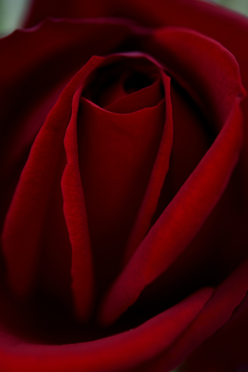 f:id:yamapiclog:20180531003959j:plain f:id:yamapiclog:20180531003959j:plain