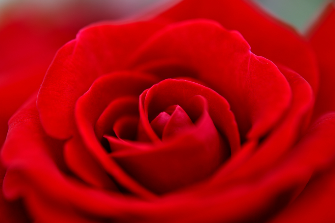 f:id:yamapiclog:20180531004005j:plain f:id:yamapiclog:20180531004005j:plain