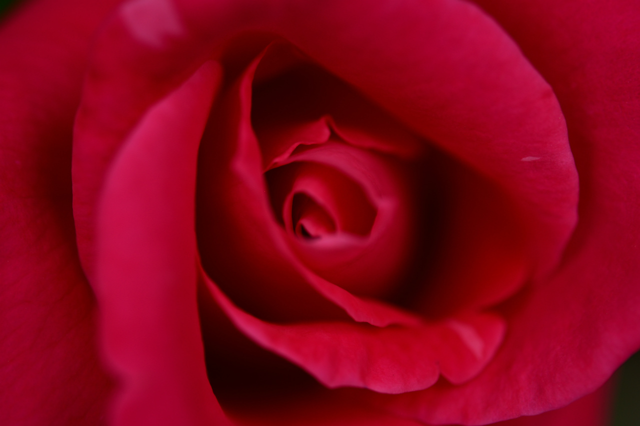 f:id:yamapiclog:20180531004011j:plain f:id:yamapiclog:20180531004011j:plain