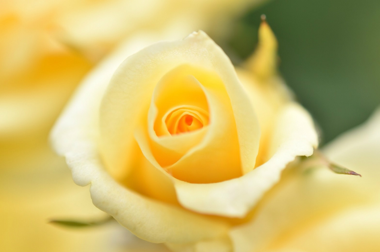 f:id:yamapiclog:20180606223505j:plain f:id:yamapiclog:20180606223505j:plain