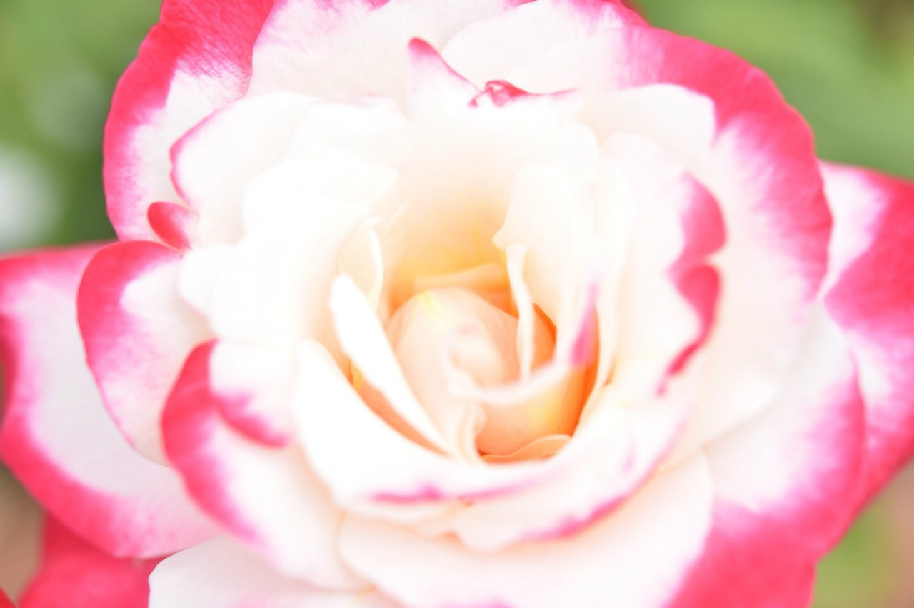 f:id:yamapiclog:20180606223536j:plain f:id:yamapiclog:20180606223536j:plain