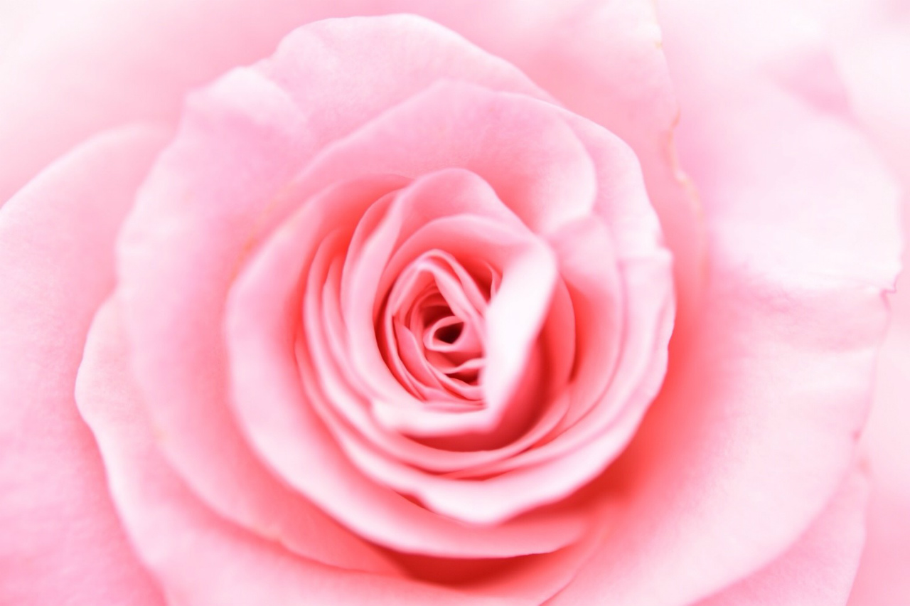 f:id:yamapiclog:20180606223545j:plain f:id:yamapiclog:20180606223545j:plain