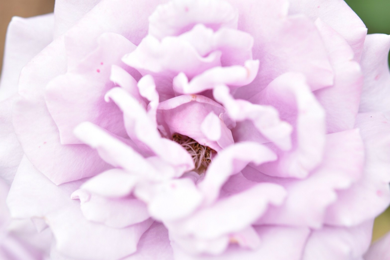 f:id:yamapiclog:20180606223609j:plain f:id:yamapiclog:20180606223609j:plain