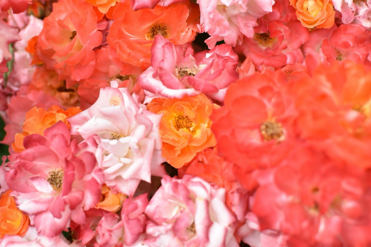 f:id:yamapiclog:20180606223815j:plain f:id:yamapiclog:20180606223815j:plain